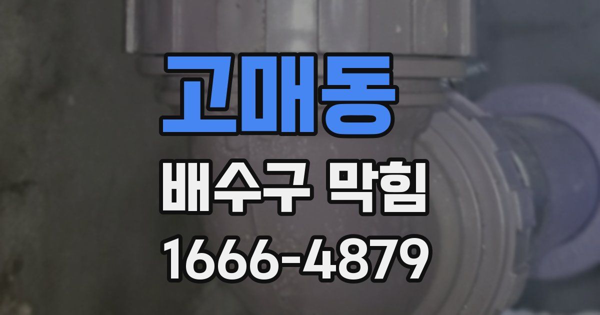고매동 배수구 막힘