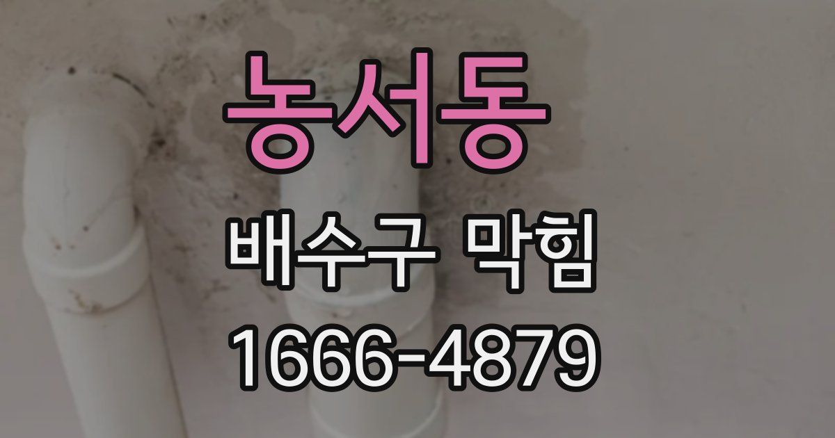 농서동 배수구 막힘