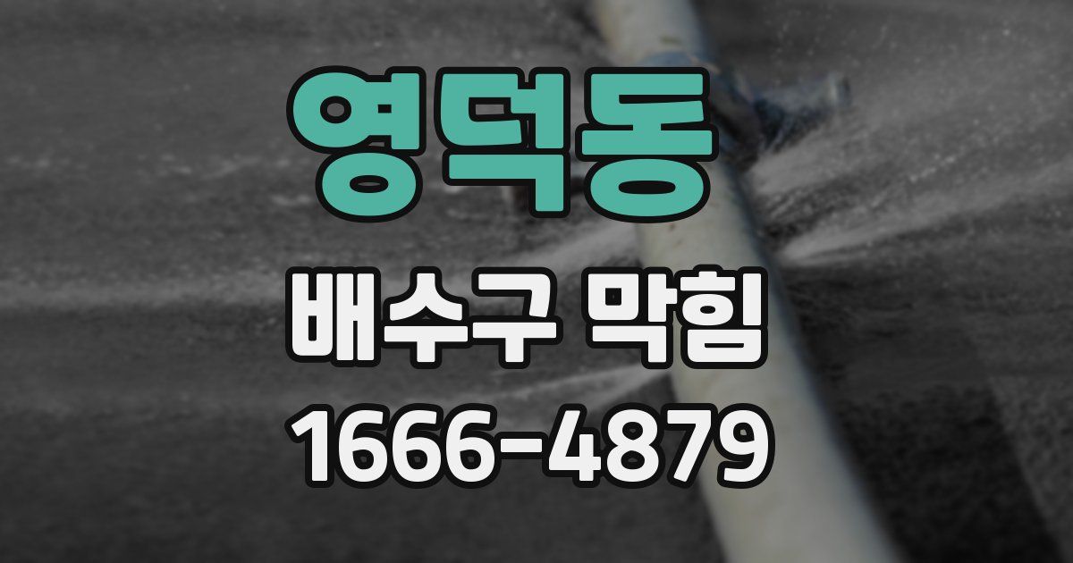 영덕동 배수구 막힘