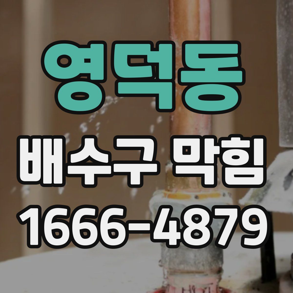 영덕동 배수구 막힘