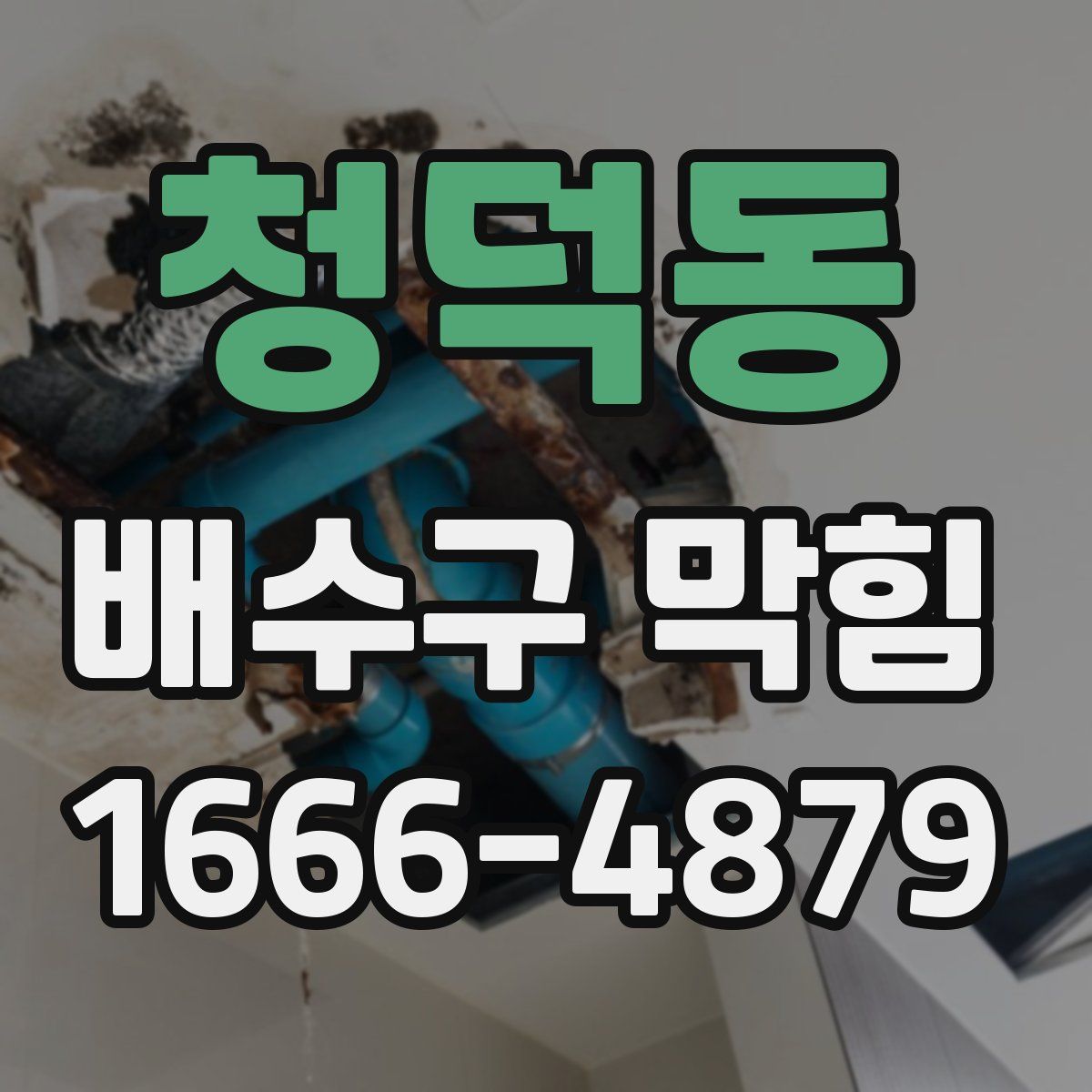 청덕동 배수구 막힘