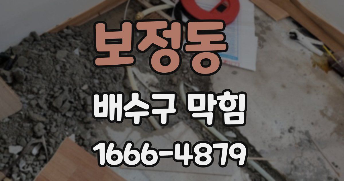 보정동 배수구 막힘