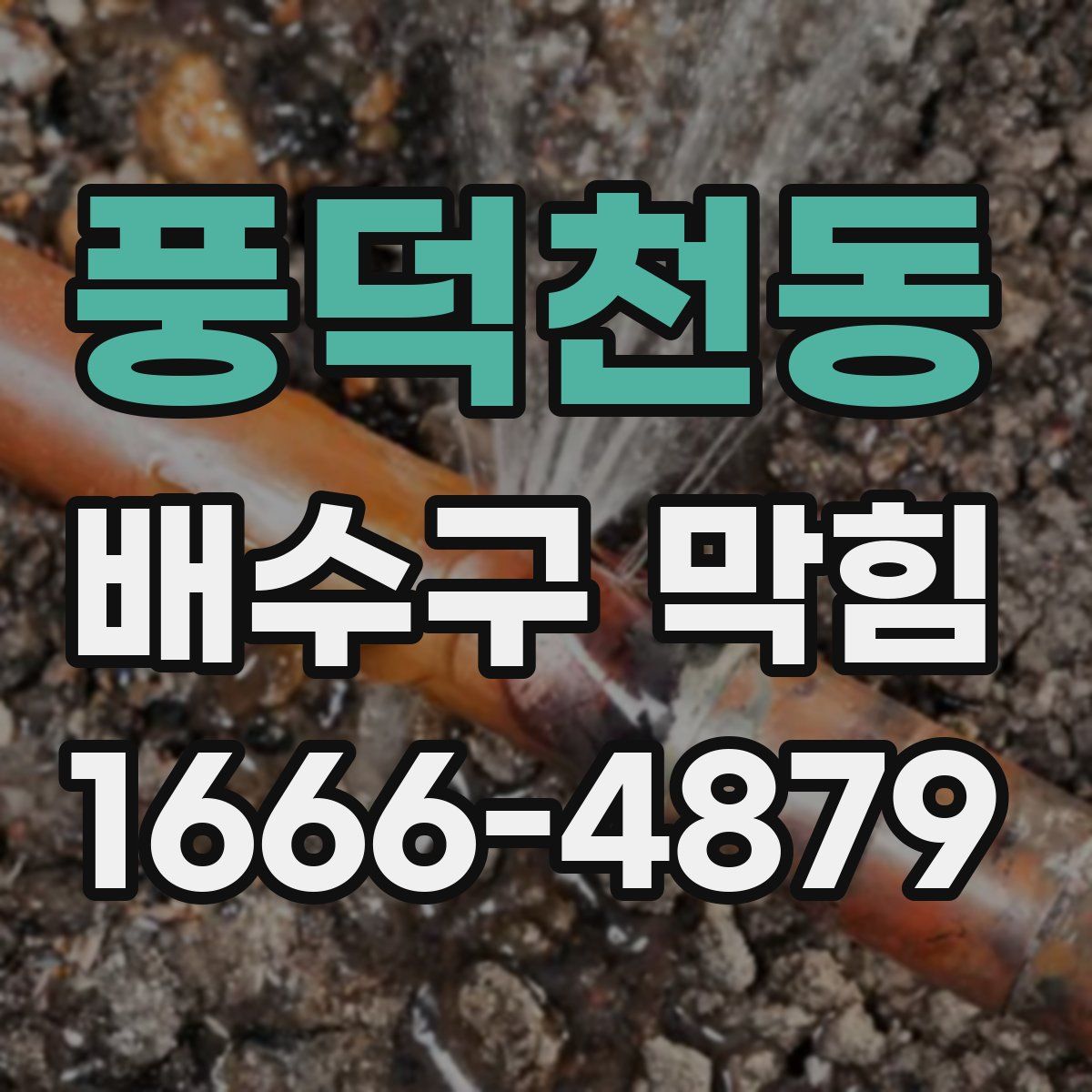 풍덕천동 배수구 막힘