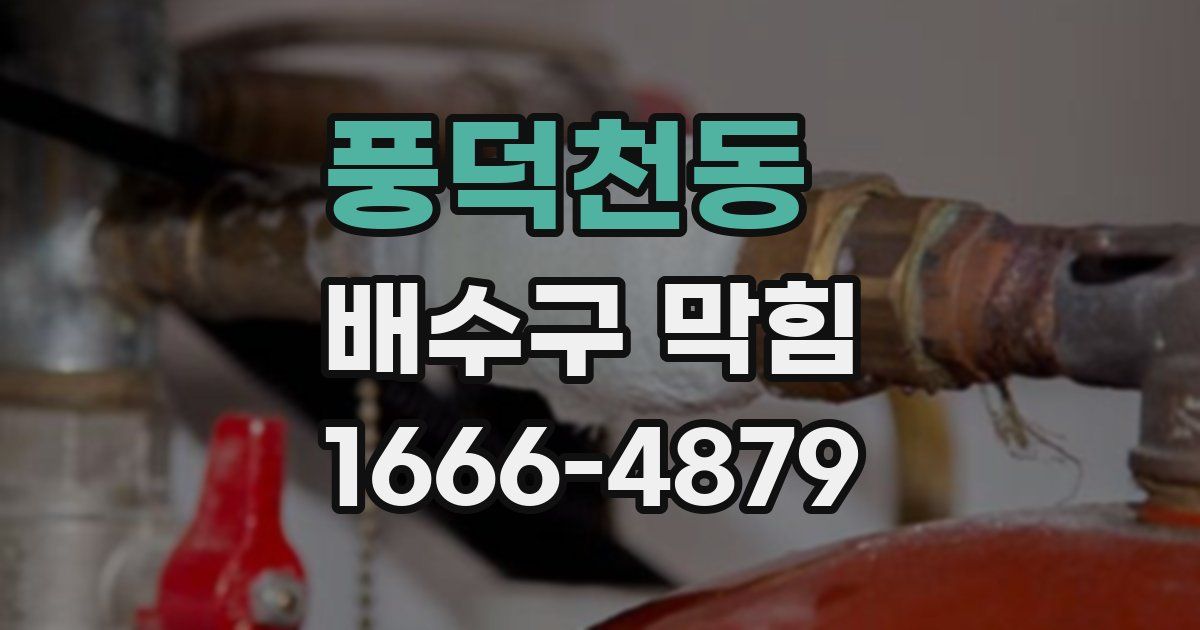 풍덕천동 배수구 막힘