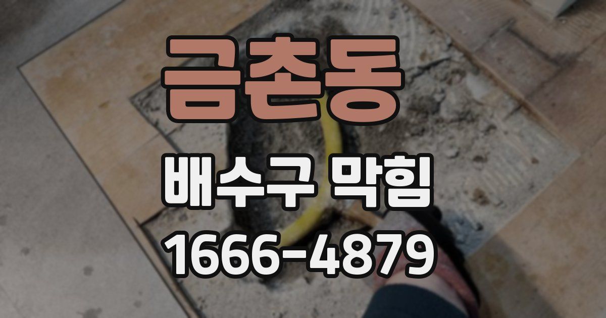 금촌동 배수구 막힘
