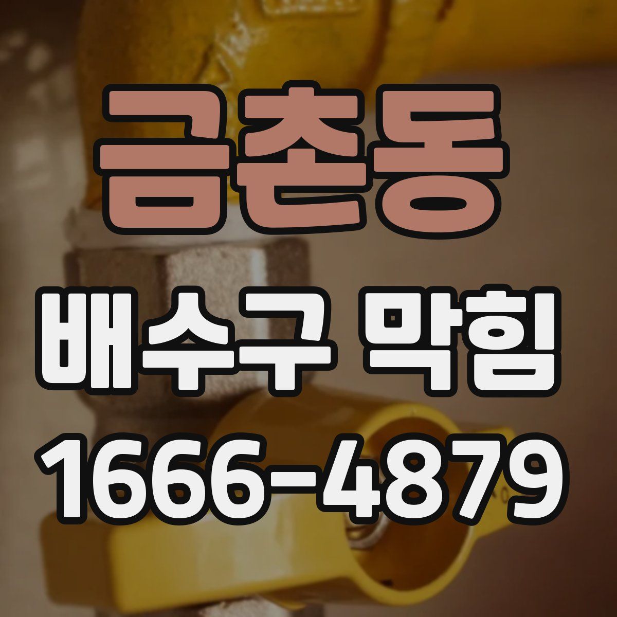 금촌동 배수구 막힘