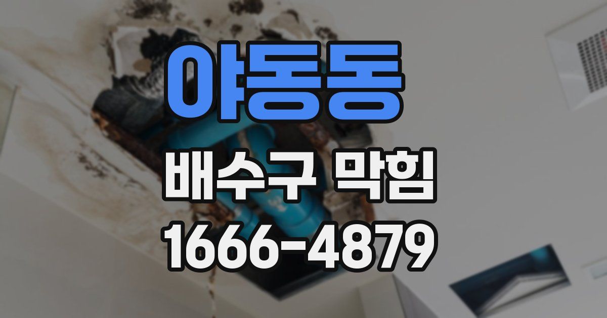 야동동 배수구 막힘