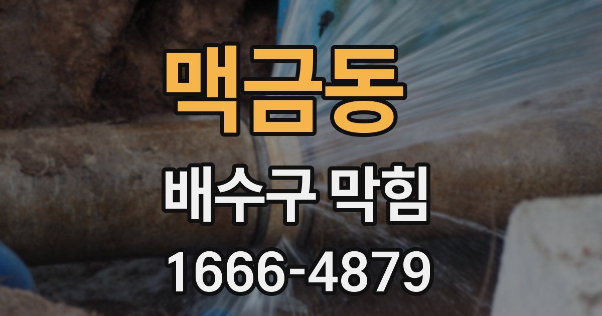 맥금동 배수구 막힘