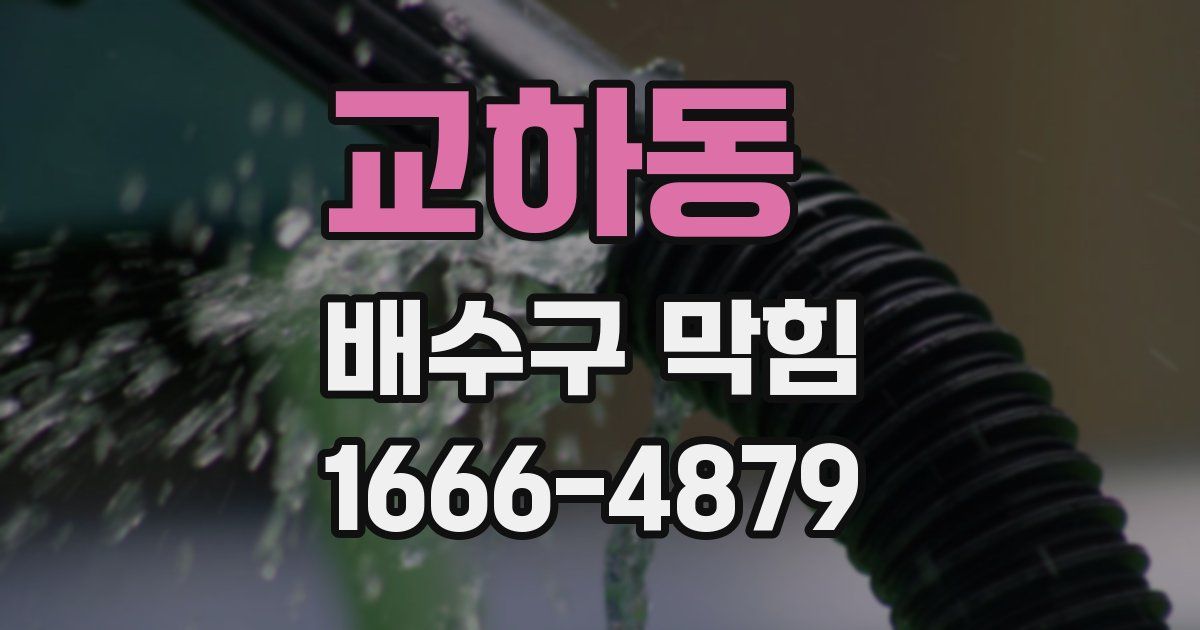 교하동 배수구 막힘