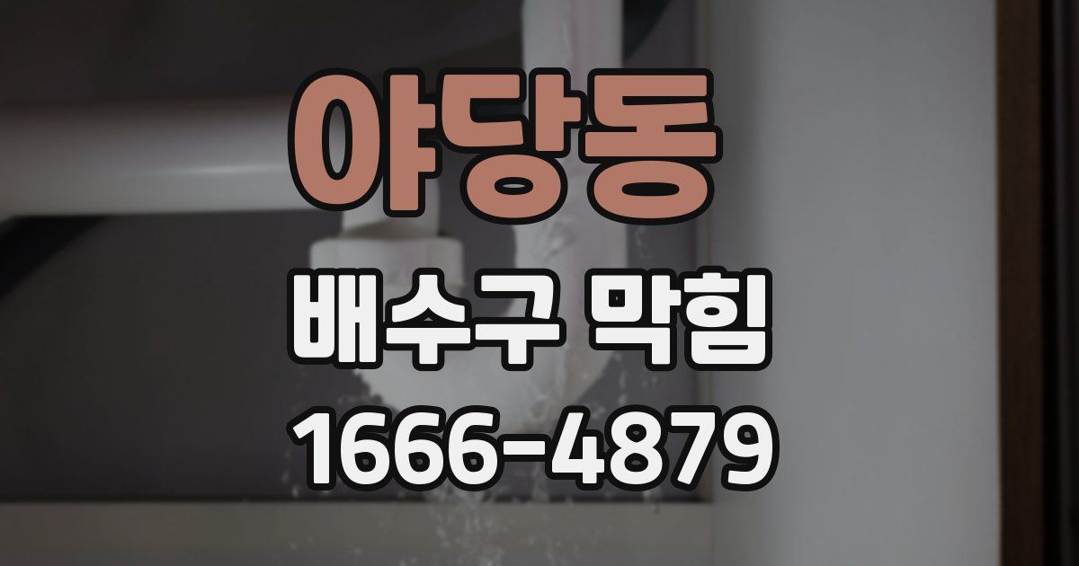 야당동 배수구 막힘