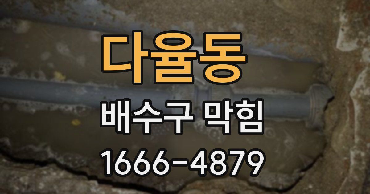 다율동 배수구 막힘