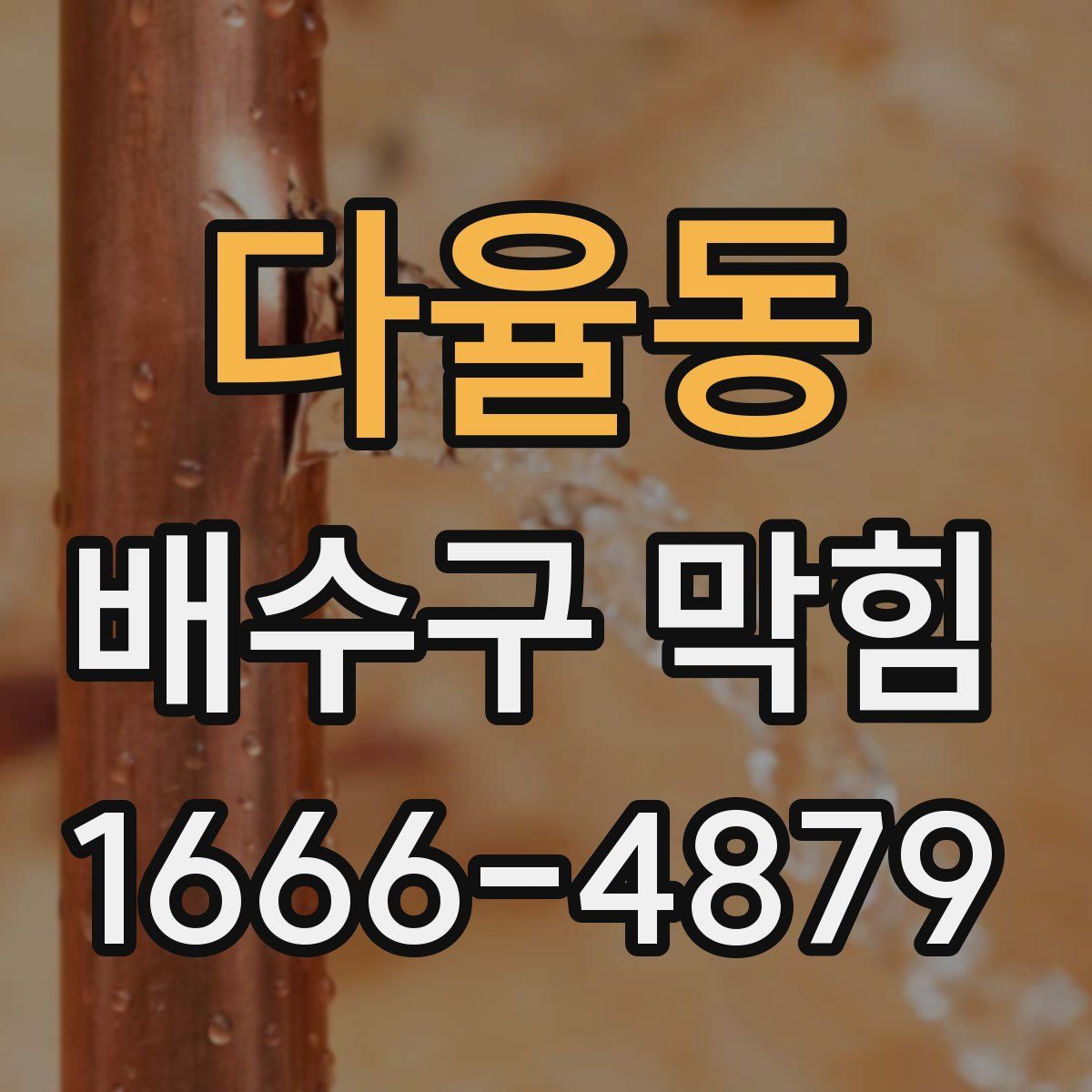 다율동 배수구 막힘