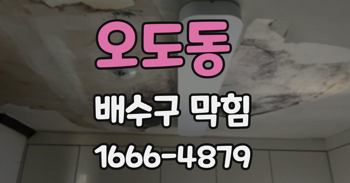 오도동 배수구 막힘