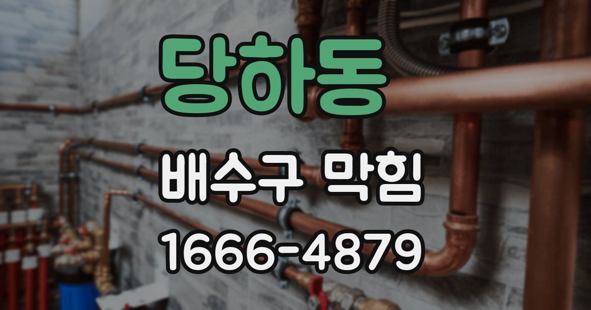 당하동 배수구 막힘