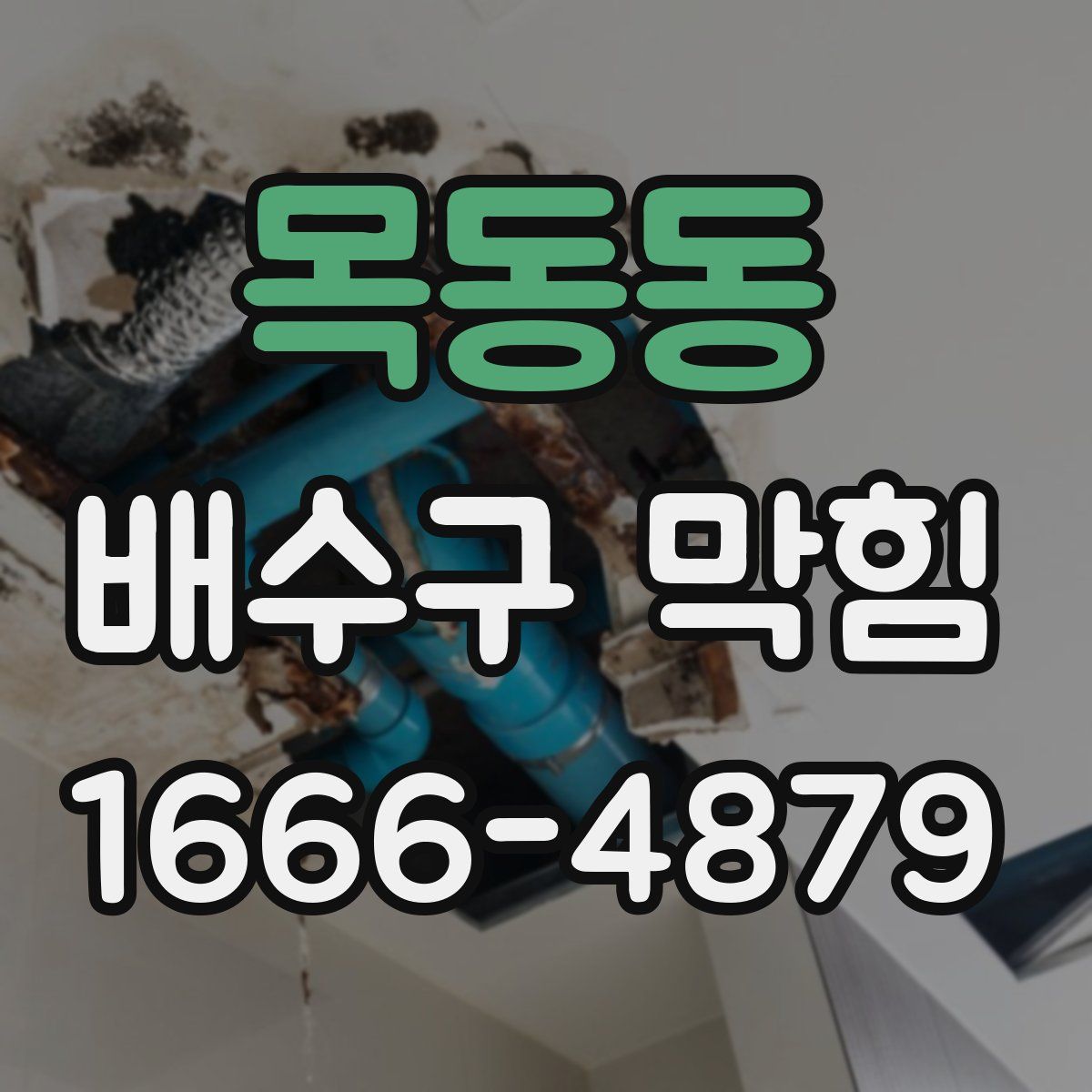 목동동 배수구 막힘