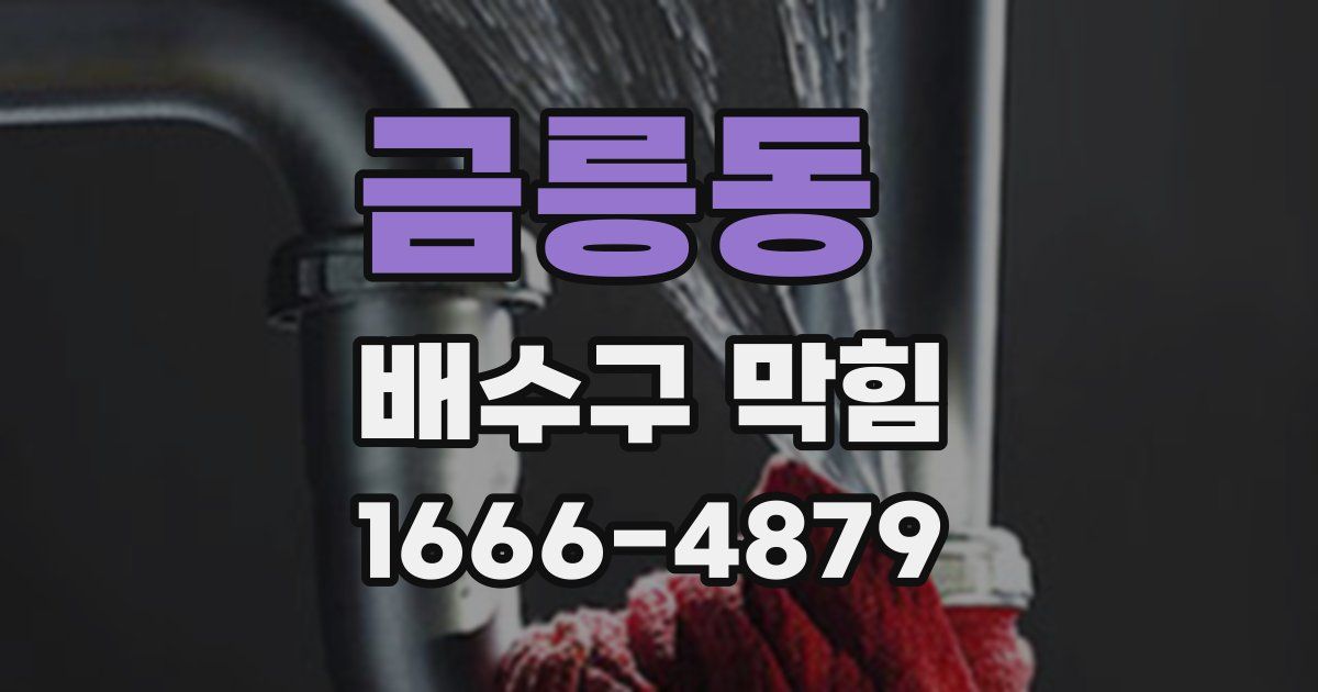 금릉동 배수구 막힘