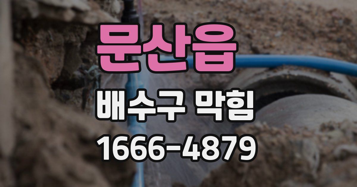 문산읍 배수구 막힘
