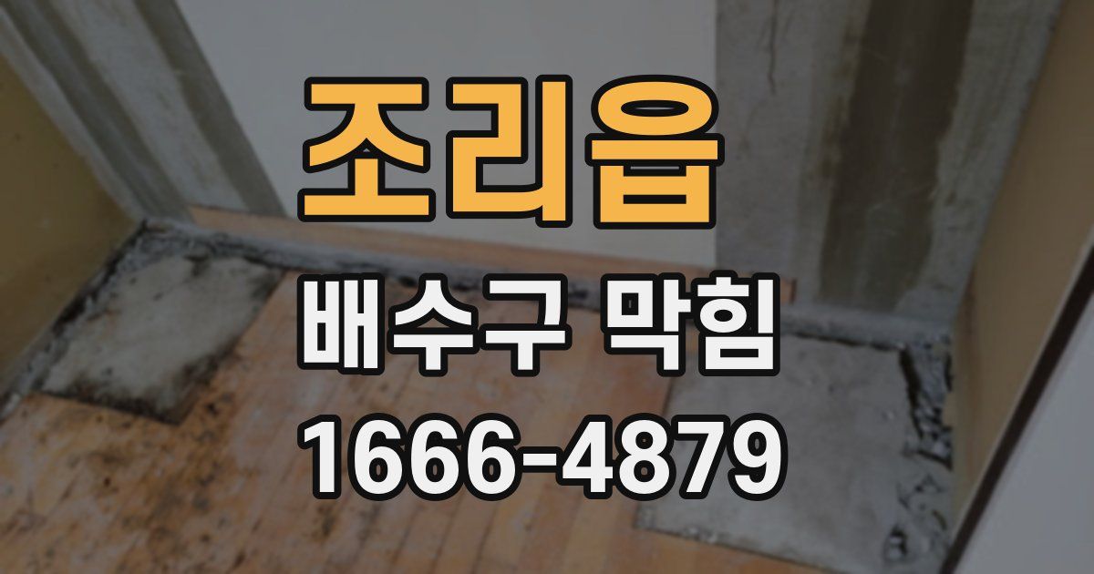 조리읍 배수구 막힘