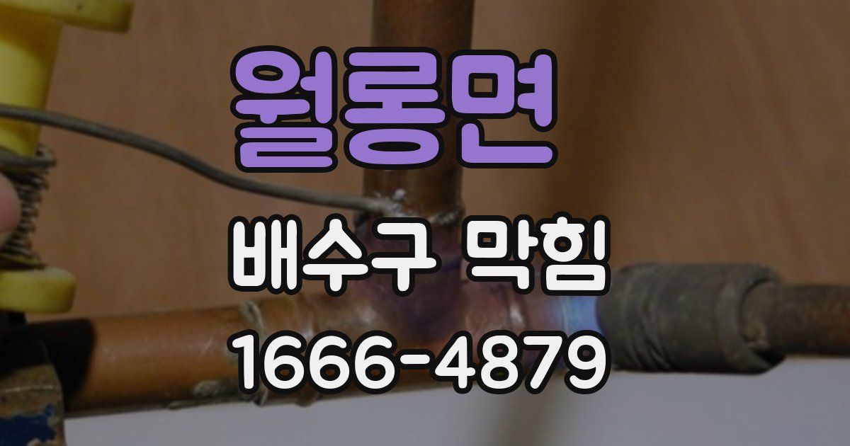 월롱면 배수구 막힘