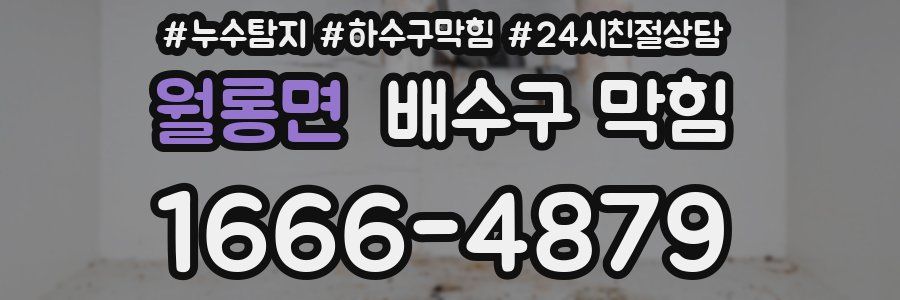 월롱면 배수구 막힘