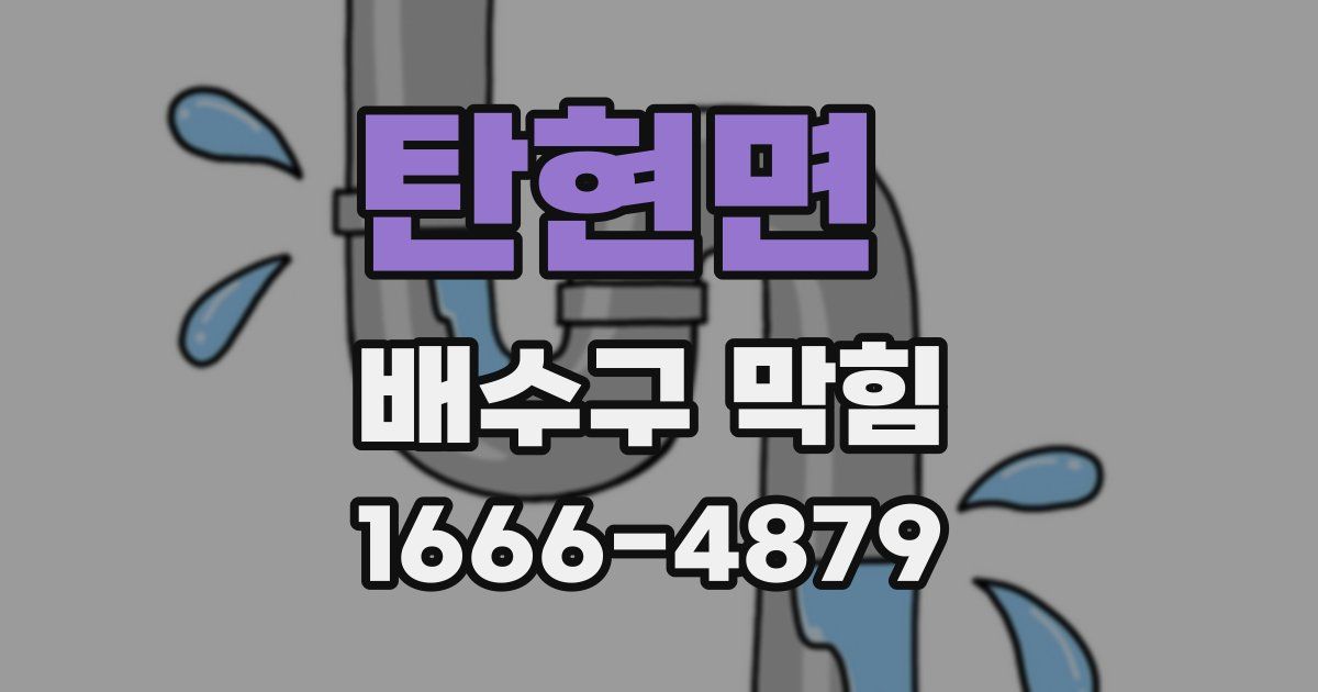 탄현면 배수구 막힘