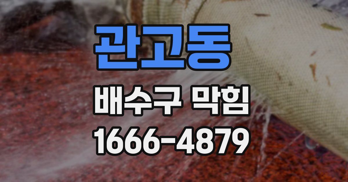관고동 배수구 막힘