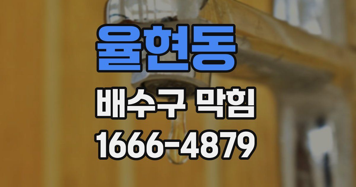 율현동 배수구 막힘