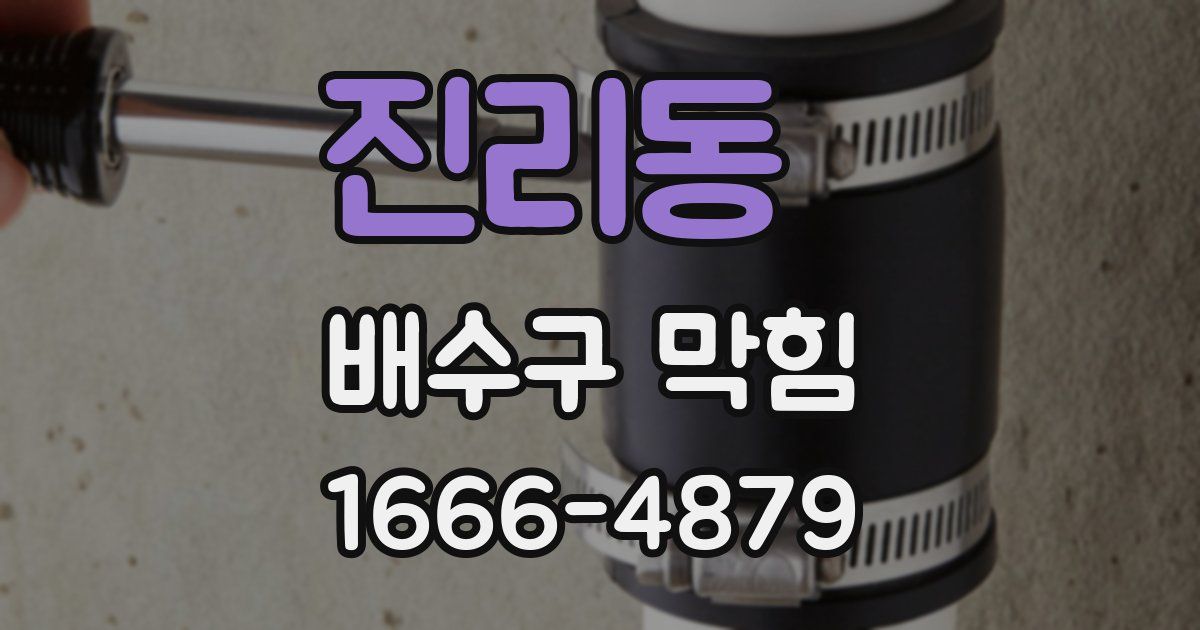 진리동 배수구 막힘