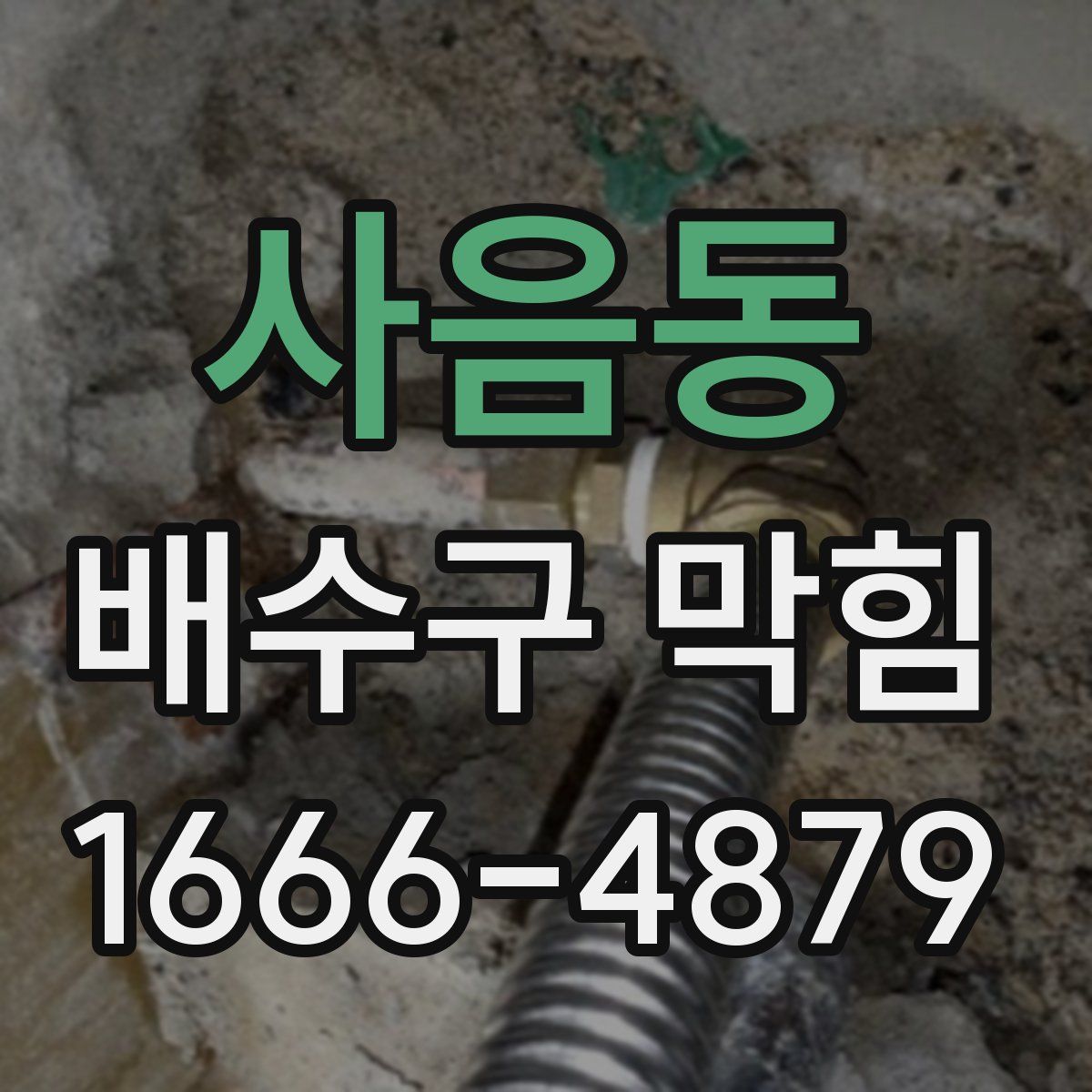 사음동 배수구 막힘