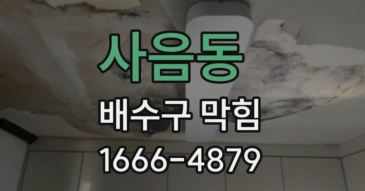사음동 배수구 막힘