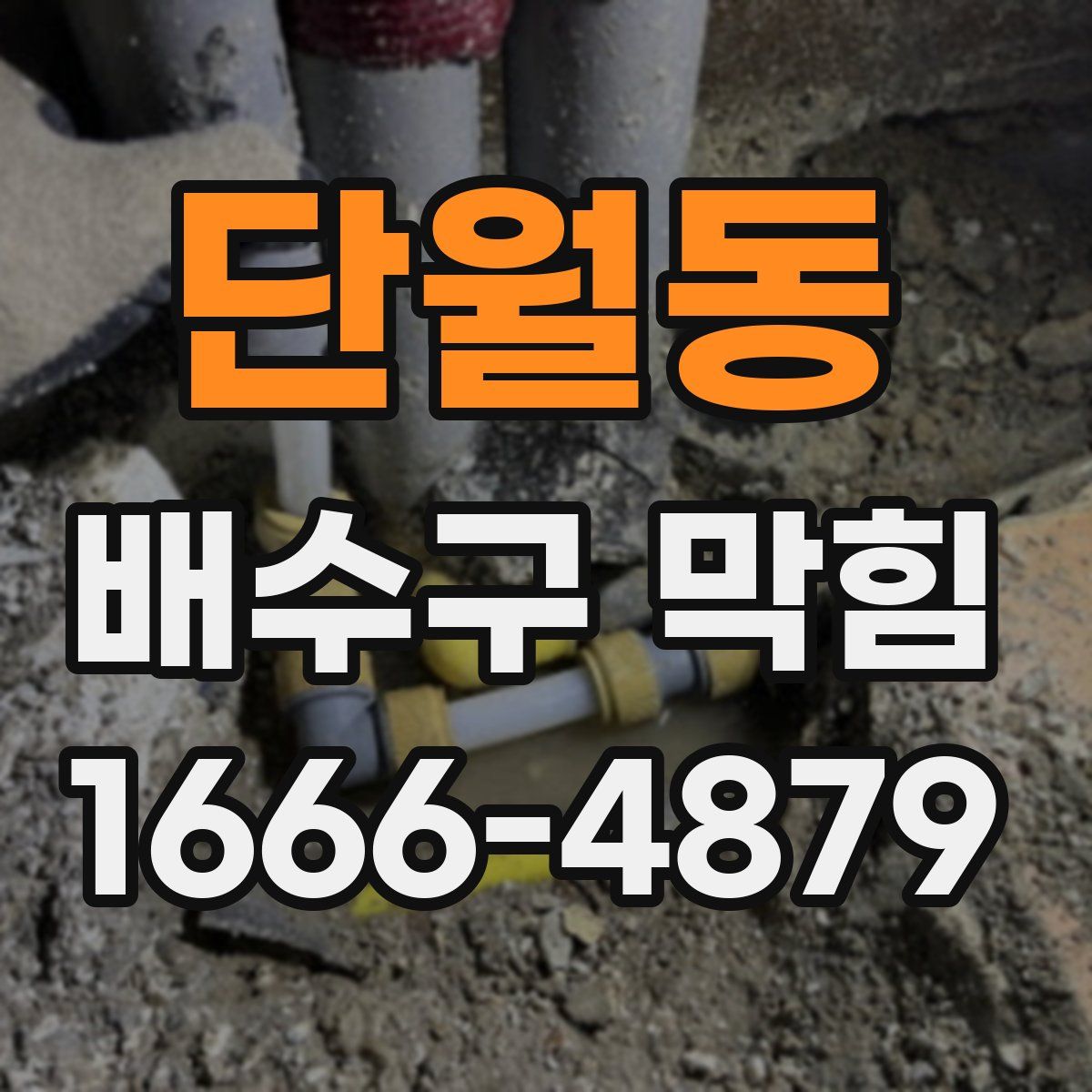 단월동 배수구 막힘