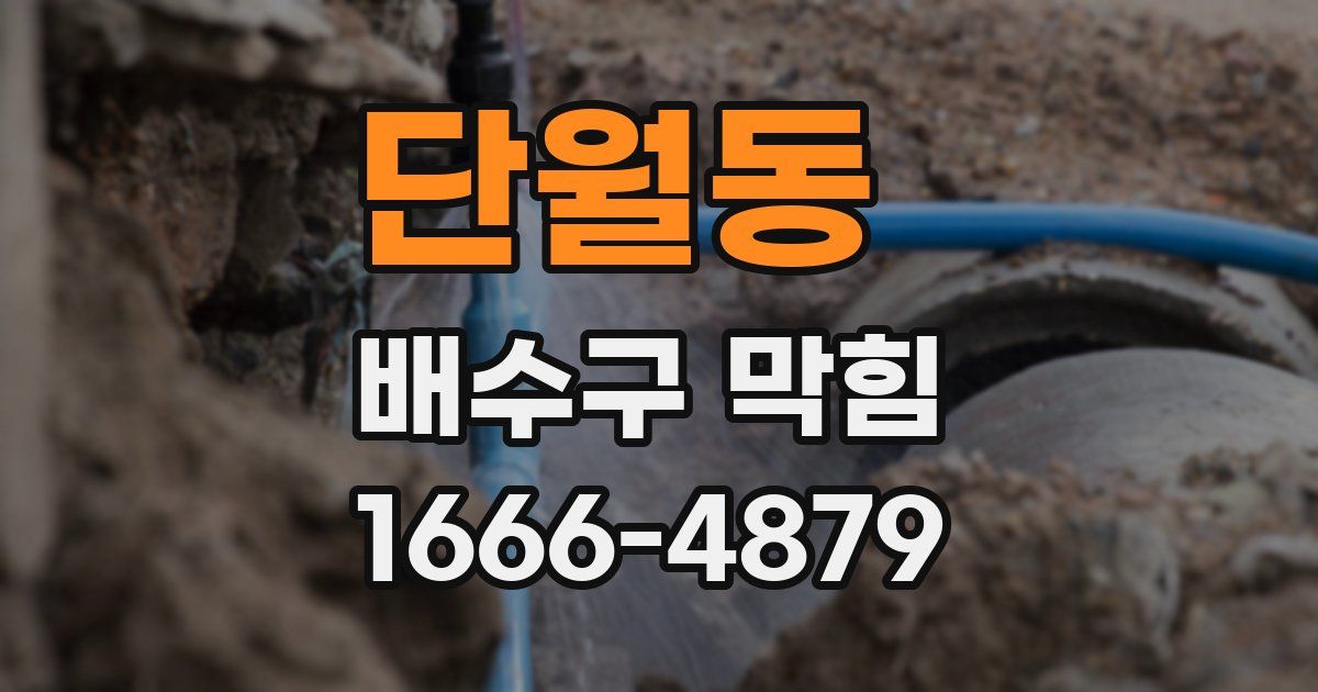 단월동 배수구 막힘