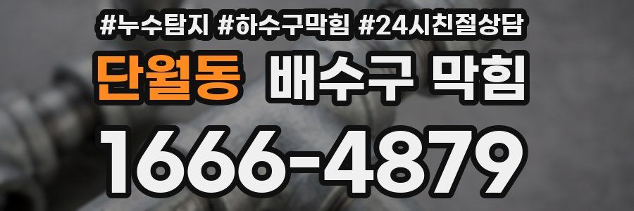 단월동 배수구 막힘