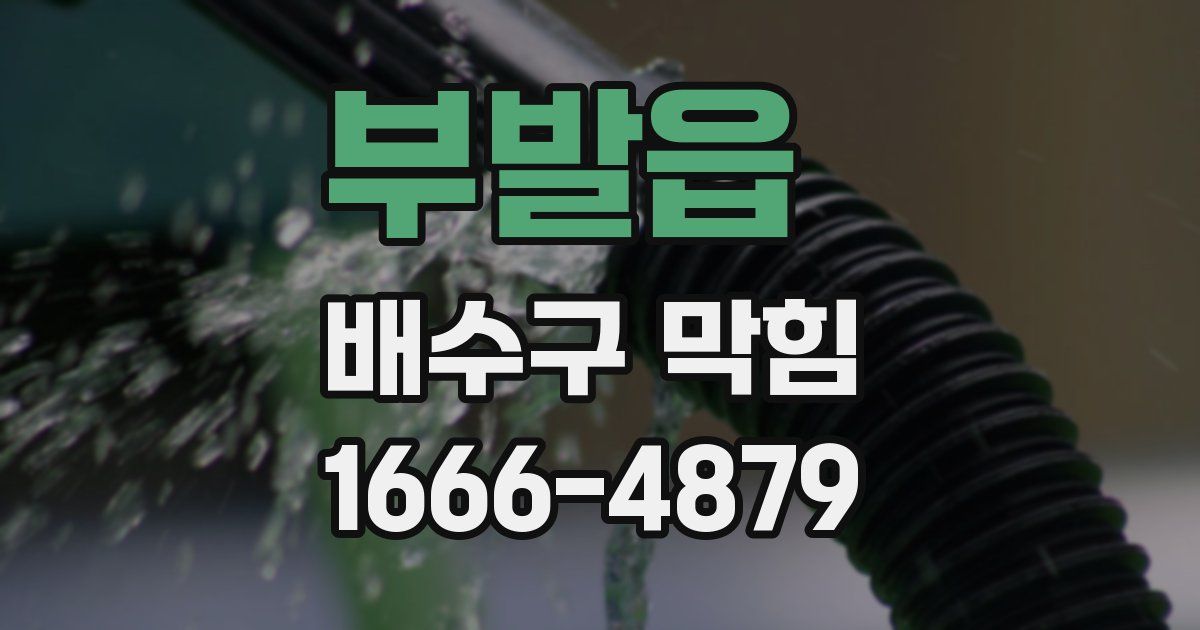 부발읍 배수구 막힘