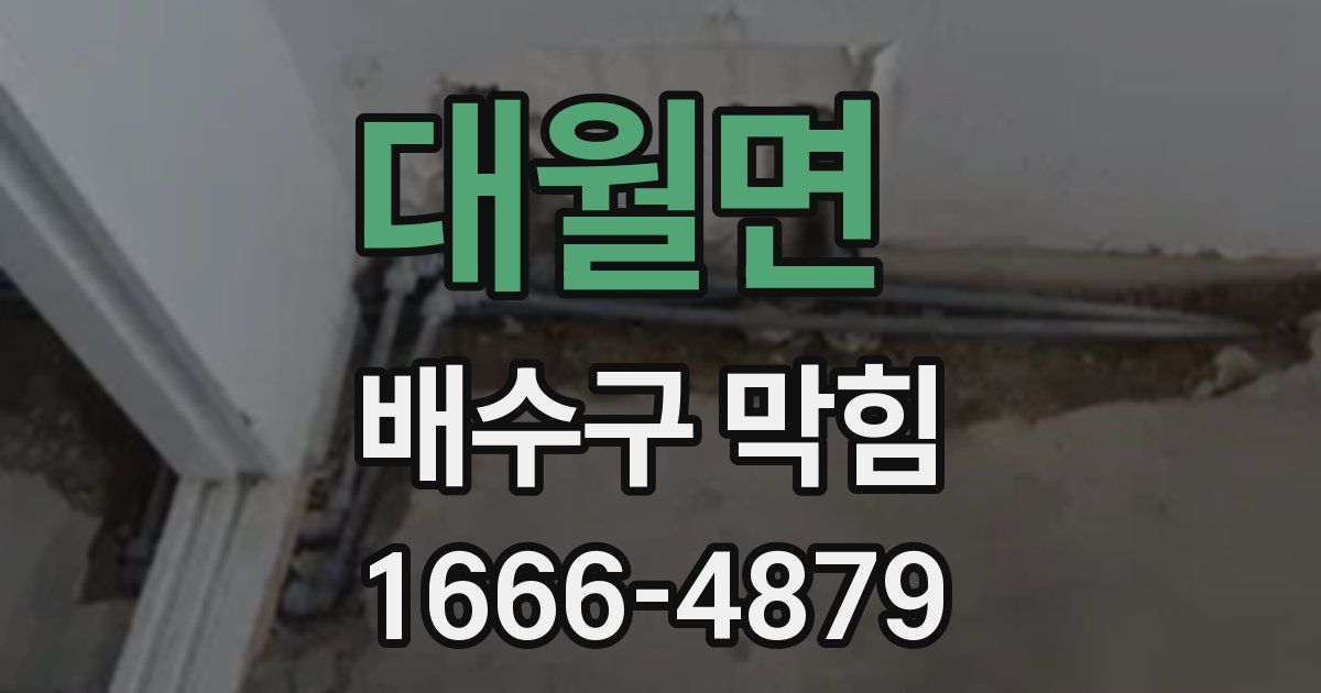 대월면 배수구 막힘