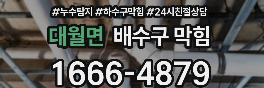 대월면 배수구 막힘