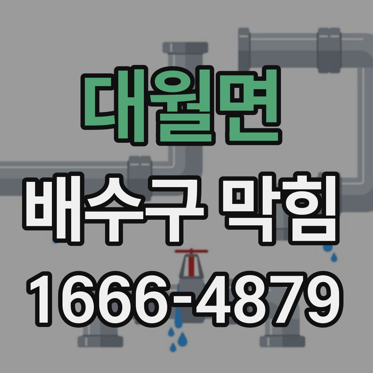 대월면 배수구 막힘