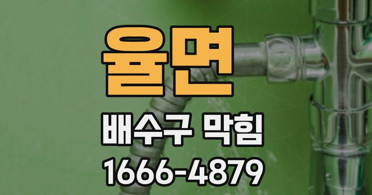 율면 배수구 막힘
