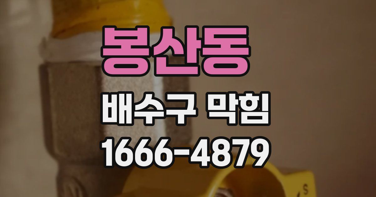 봉산동 배수구 막힘