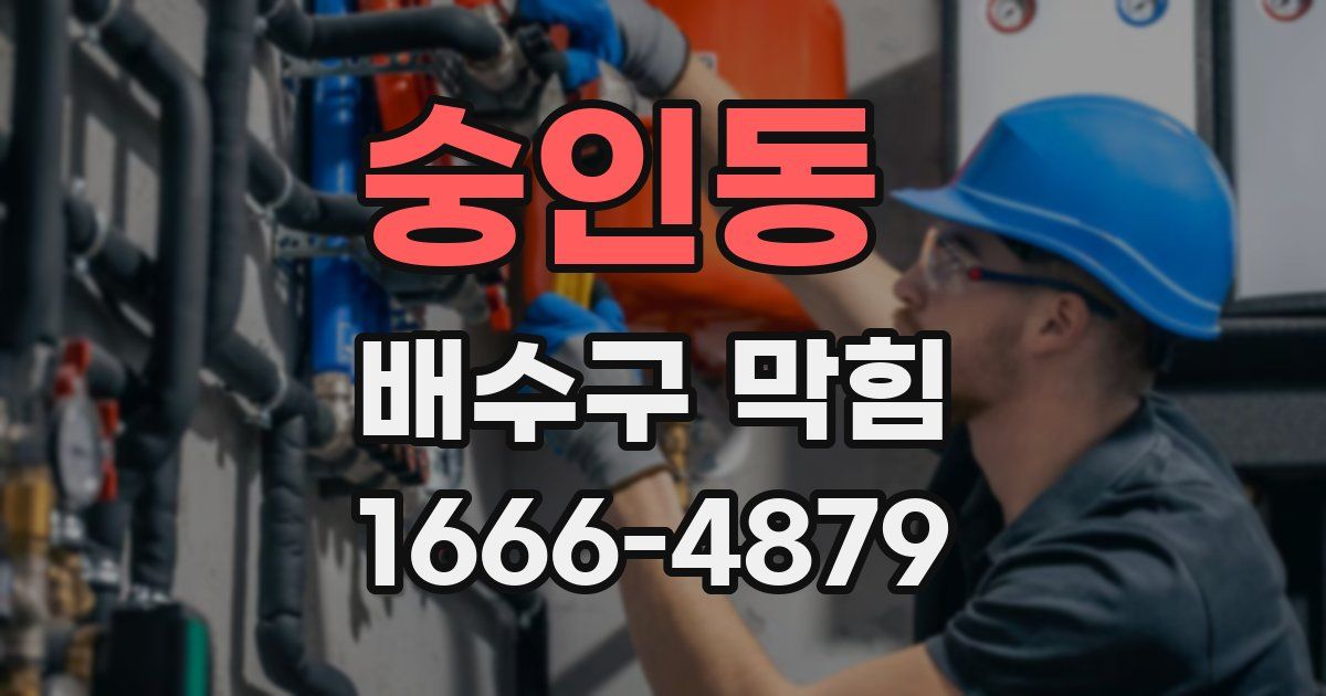 숭인동 배수구 막힘