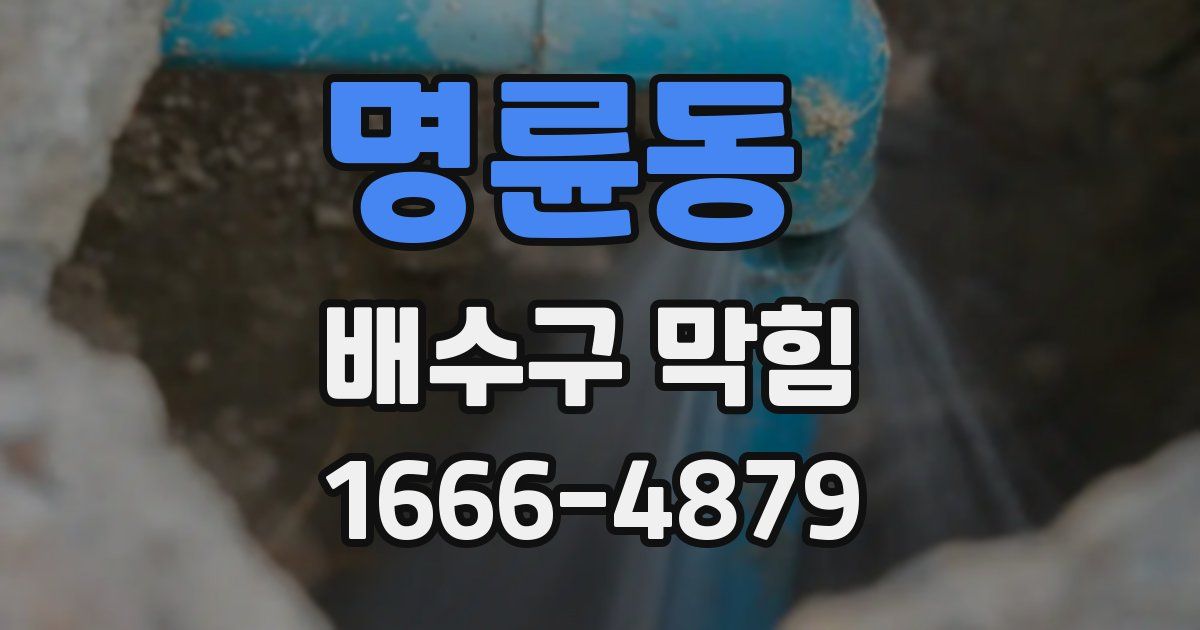 명륜동 배수구 막힘