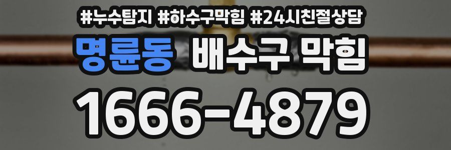 명륜동 배수구 막힘