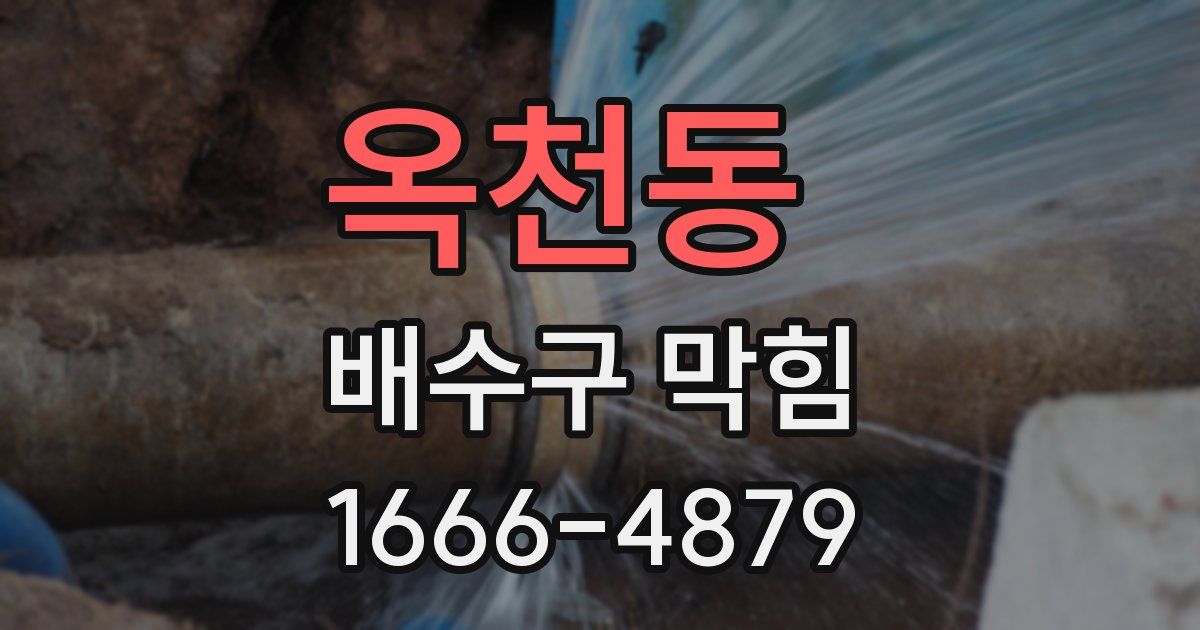 옥천동 배수구 막힘