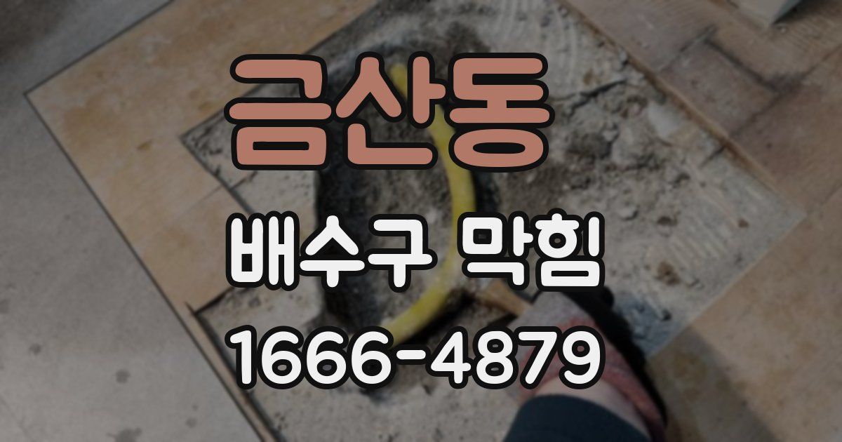 금산동 배수구 막힘