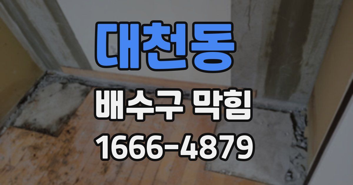 대천동 배수구 막힘
