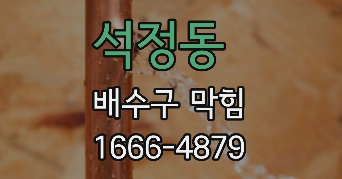 석정동 배수구 막힘