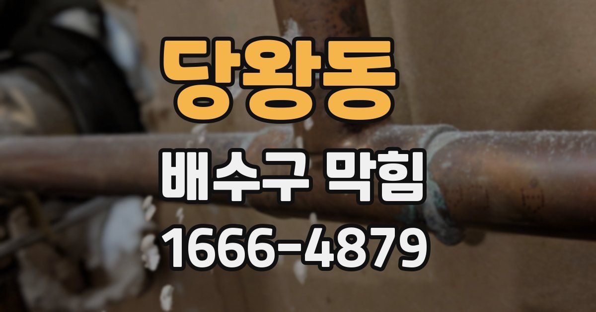 당왕동 배수구 막힘