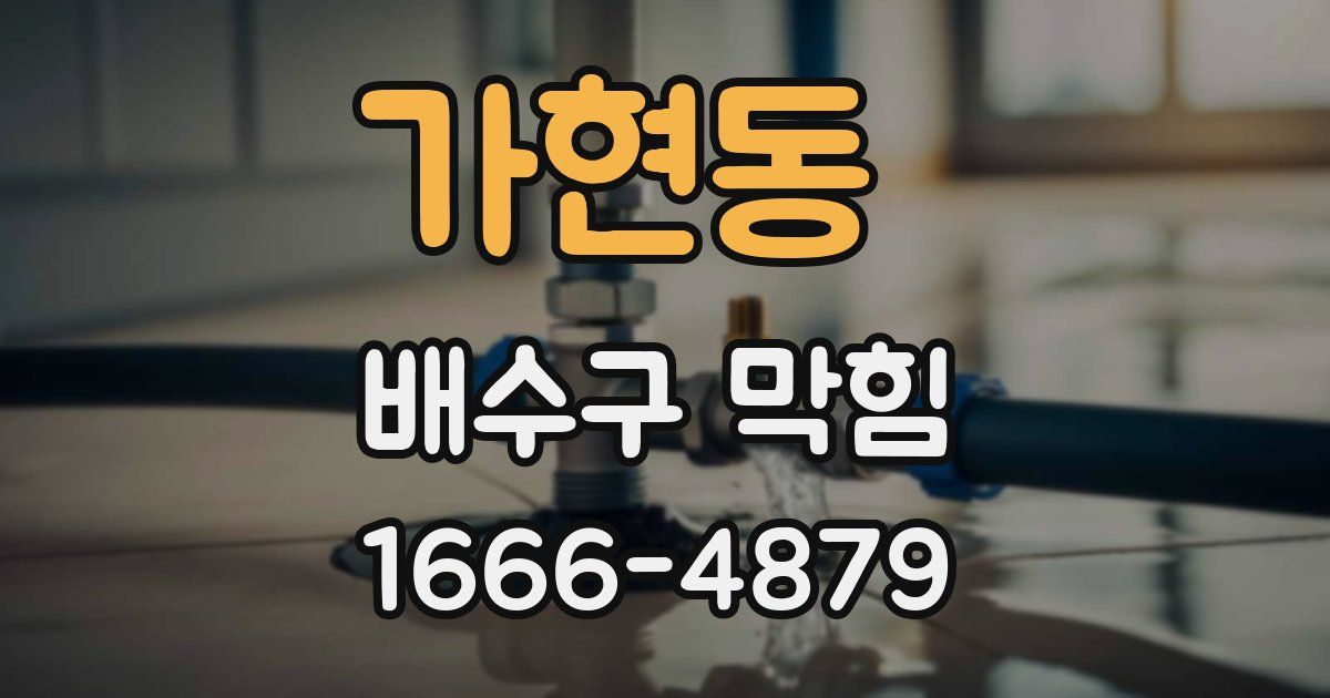가현동 배수구 막힘