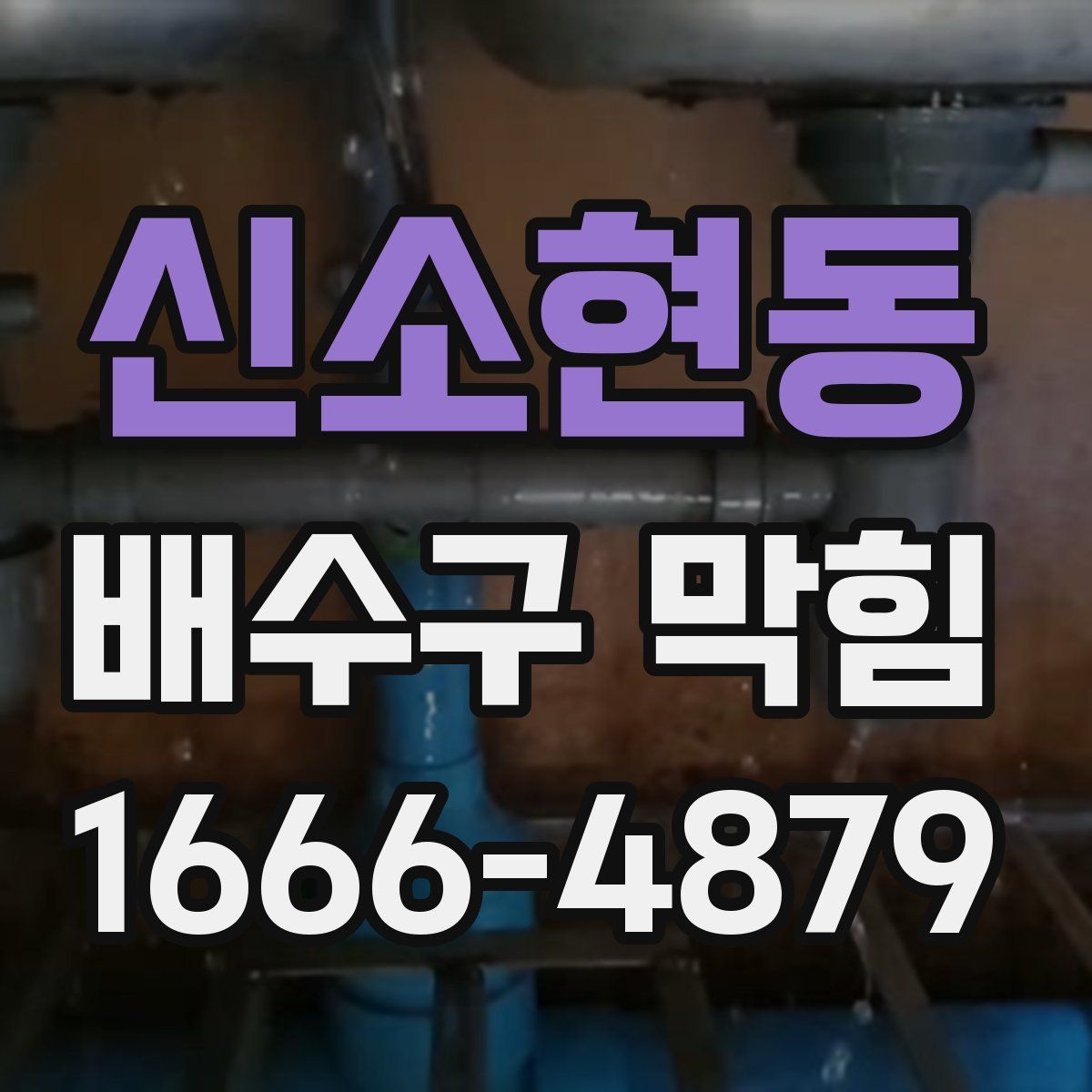 신소현동 배수구 막힘