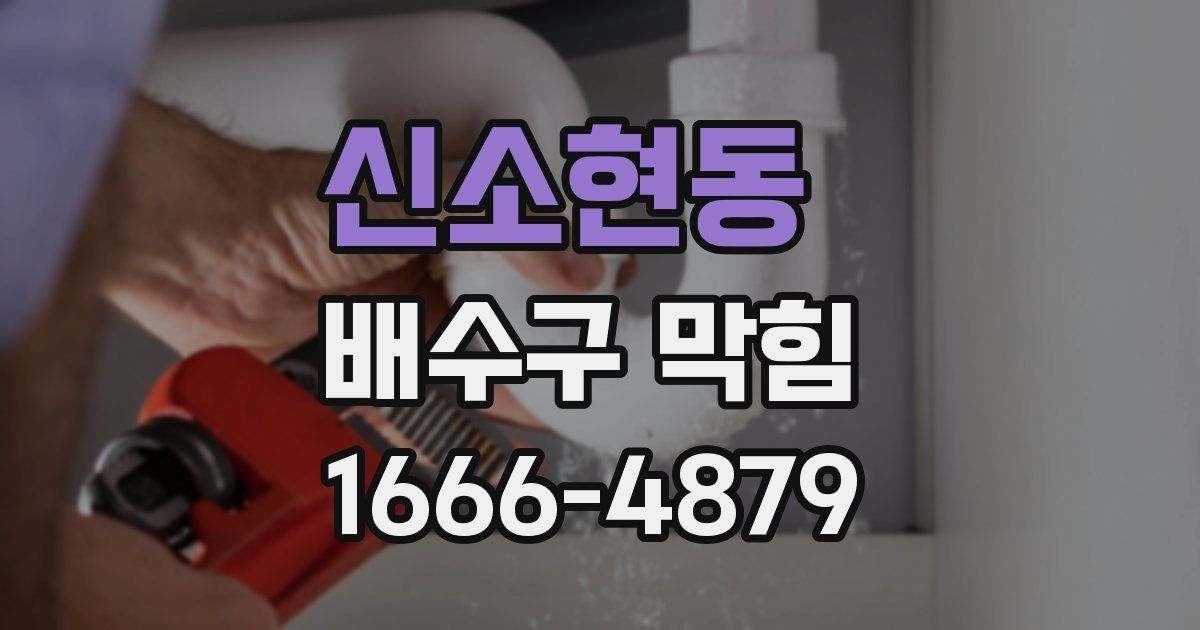 신소현동 배수구 막힘
